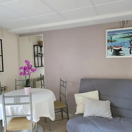 35 M2 Avec Terrasse Et Jardin *